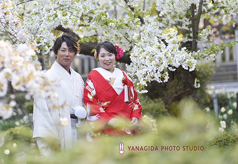 桜　結婚式　撮影.jpg